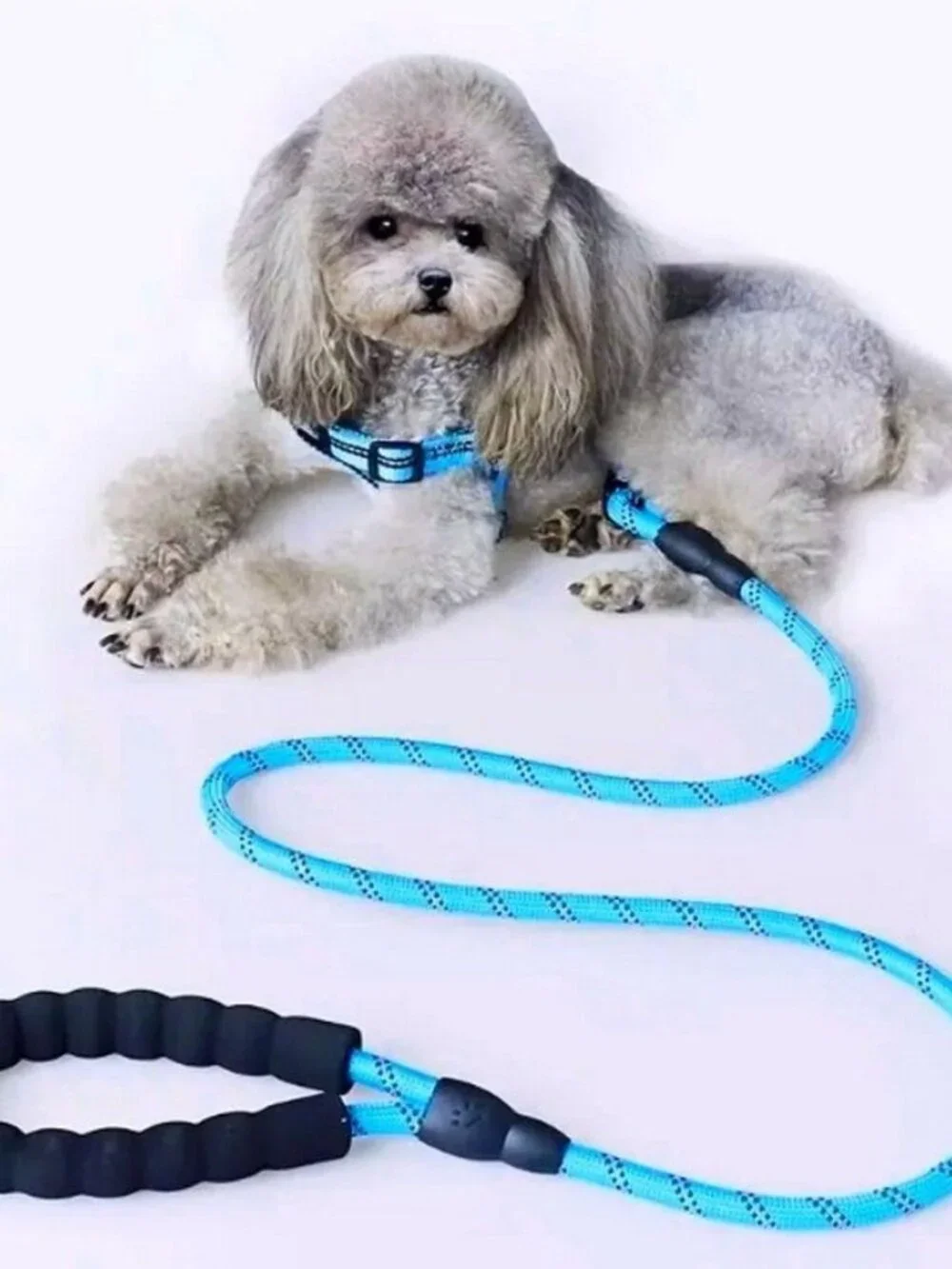 Tadeo Dash Green Reflective Rope Leash with Padded Loop Handle and Rotating Clip